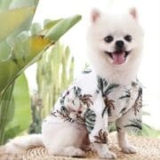Dog Hawaiian Blouse - Image 2
